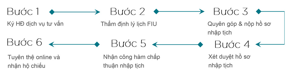 QUY TRÌNH ĐẦU TƯ QUỐC TỊCH VANUATU